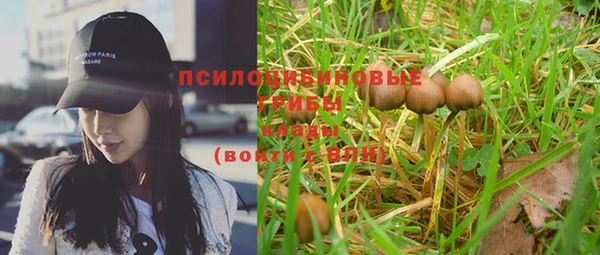 прущая мука Вязники